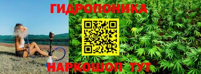 молекула духа Волжск