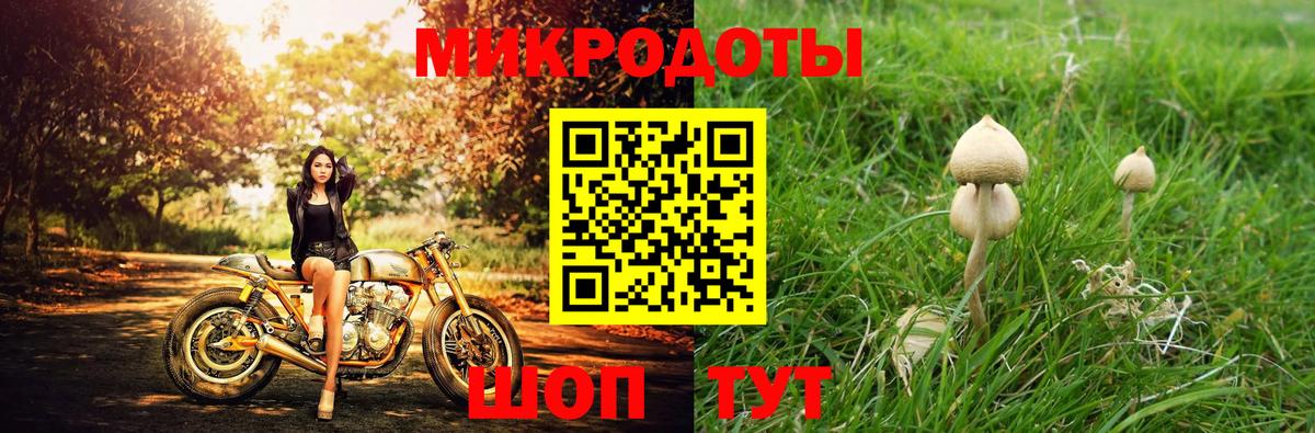 Псилоцибиновые грибы прущие грибы  Вход с VPN  Наро-Фоминск  Псилоцибиновые грибы мухоморы 