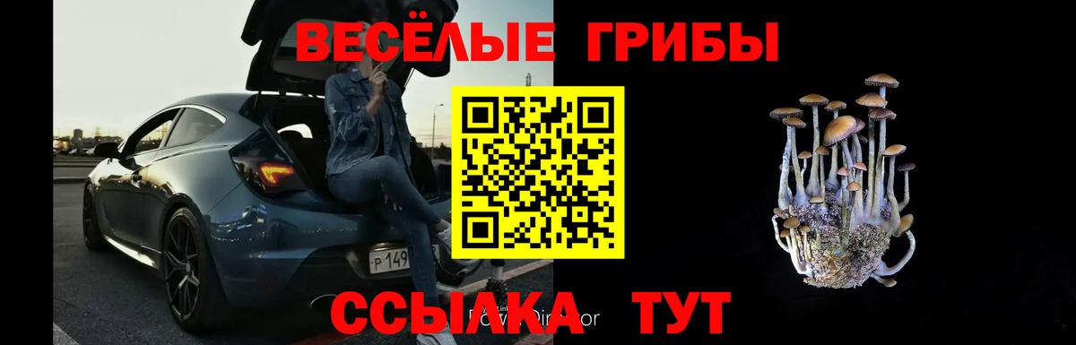 Галлюциногенные грибы GOLDEN TEACHER Наро-Фоминск